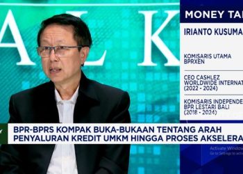 Dua Masalah Penyebab Pertumbuhan Kredit UMKM yang Lambat Menurut Bos BPR