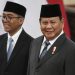 Prabowo Bentuk Badan Industri Mineral, Apa Hubungannya dengan China?
