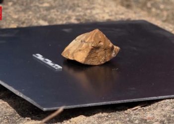 Temuan Batu Purba di Sulawesi Menyingkap Jejak Manusia Hobbit