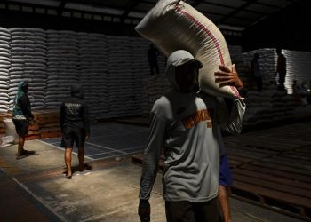 Negara Berpotensi Rugi Rp7 T akibat Salah Kelola Stok Beras