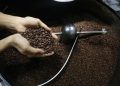 Perantau China Jual Kopi dan Sukses Menjadi Orang Terkaya di Indonesia