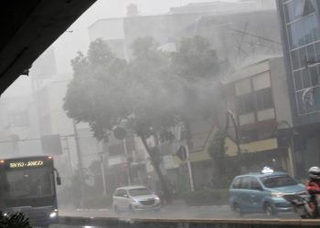 Waspada Dampak Siklon Bualoi, Beberapa Daerah Berpotensi Hujan Ekstrem