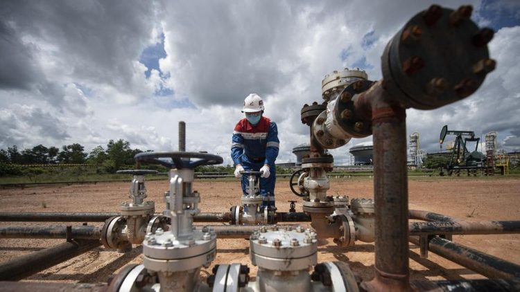 Target 1 Juta Barel, PHE Tingkatkan Eksplorasi di Cekungan Manui