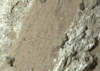 Tanda Kehidupan Paling Jelas di Mars Ditemukan oleh NASA Ini Buktinya