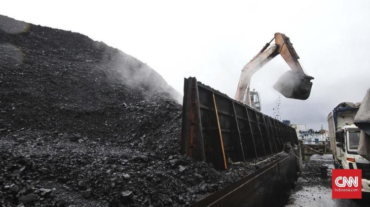 Apa Itu Gas DME Sebagai Pengganti LPG?