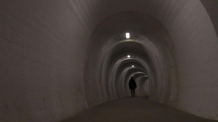 Para Jutawan dan Ilmuwan Membangun Bunker Mewah, Apa Tujuannya?