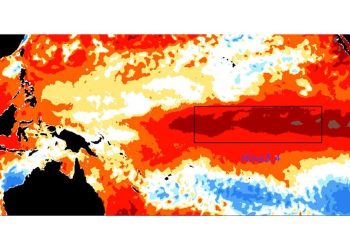 Pakar Cemas El Nino Kembali Terjadi 2027 dan Dampaknya yang Harus Diwaspadai
