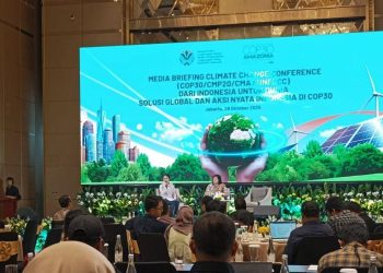 Indonesia Tawarkan 90 Juta Ton Kredit Karbon dalam COP 30 Amazonia