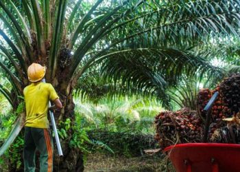 Jual 2 Anak Usaha, Raih Pendapatan Sebesar Ini