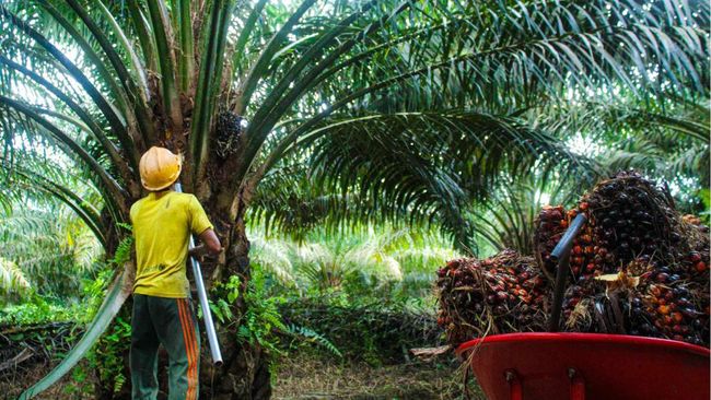 Jual 2 Anak Usaha, Raih Pendapatan Sebesar Ini