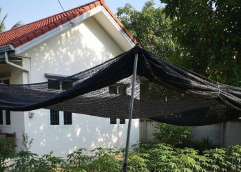 8 Desain Pekarangan Rumah Menanam Singkong yang Mudah dan Efisien Terkini 2025