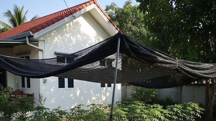 8 Desain Pekarangan Rumah Menanam Singkong yang Mudah dan Efisien Terkini 2025