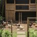 9 Desain Halaman Belakang Rumah Kecil yang Nyaman dan Aman untuk Pelihara Ayam