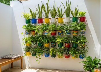7 Ide Desain Rumah Kecil Modern Berkonsep Taman Vertikal untuk Lahan Terbatas