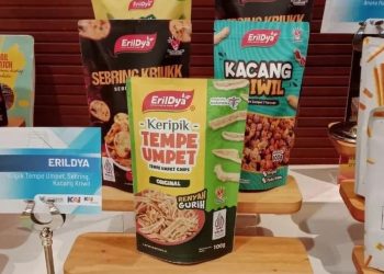 Pendampingan Antar UMKM Erildya Cemilan Family Meningkatkan Kelas Usaha