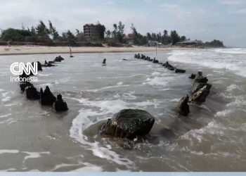 Bangkai Kapal Abad ke-14 Terungkap Setelah Topan Kalmaegi