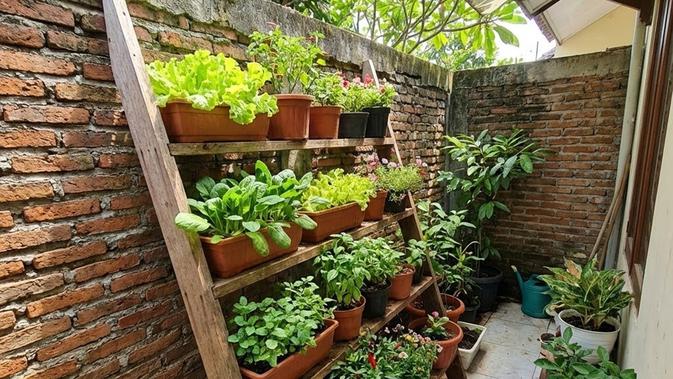 15 Model Kebun Sayur Rumah untuk Urban Farming di Lahan Terbatas sebagai Solusi Pangan