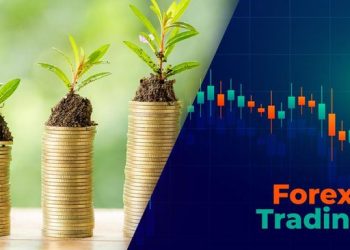 Investasi atau Menabung Mana yang Membuat Uang Tumbuh?