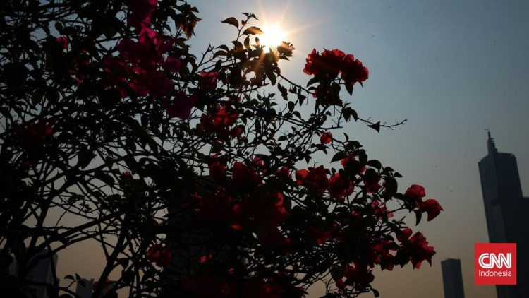 Peluang Heatwave Panggang Indonesia Menurut BMKG