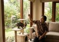7 Cara Atasi Kucing Garuk Sofa, Rumah Tetap Rapi Tanpa Drama