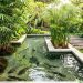 9 Model Kolam Ternak Lele Kreatif untuk Taman Air yang Estetik