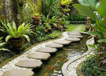 15 Ide Kolam Ikan Mini di Halaman Sempit yang Menarik dan Cantik