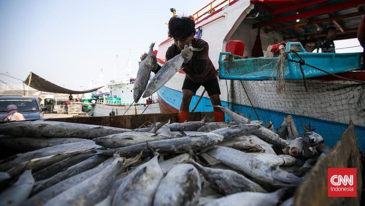 KKP Minta Tambahan Rp1,7 T untuk Pemulihan Sektor Perikanan di Sumatra