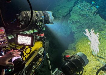 Menyelami Pesona Kehidupan Laut Di Sulawesi