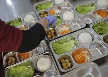 Beras Premium Dipastikan Digunakan untuk MBG menurut Bos Bulog