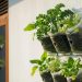 9 Desain Kebun Sayur Vertikal dari Kantong Plastik untuk Solusi Pangan di Lahan Sempit